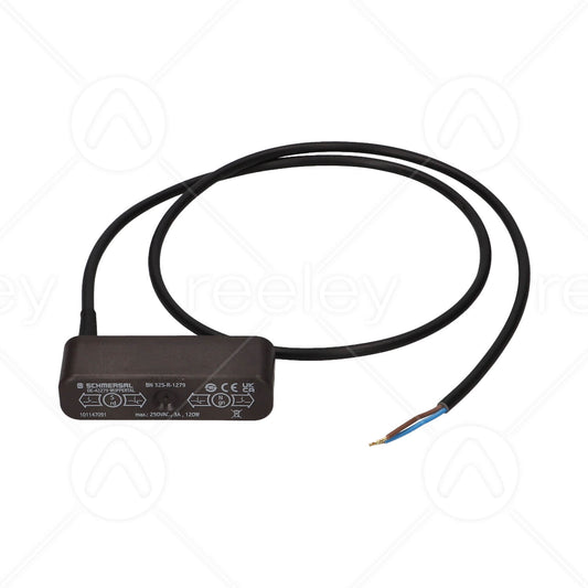 Schmersal Magnetic Reed Switch