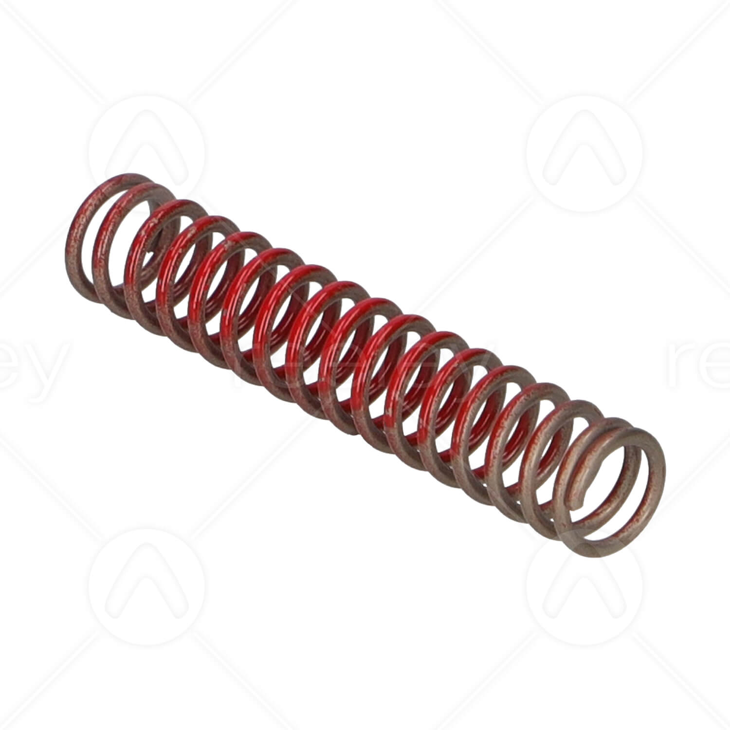 Skate Compression Spring – Reeley Ltd